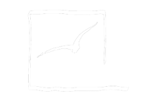 logo_dedalo2